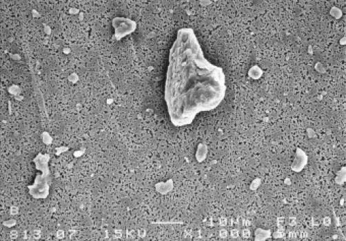 Red Clay SEM Image 1