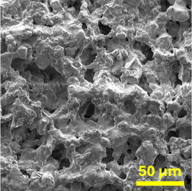 MASC-4 SEM image 50 um