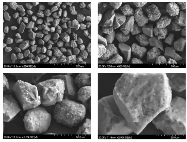 MMS-2 XL SEM Images MMS-2 XL SEM Images