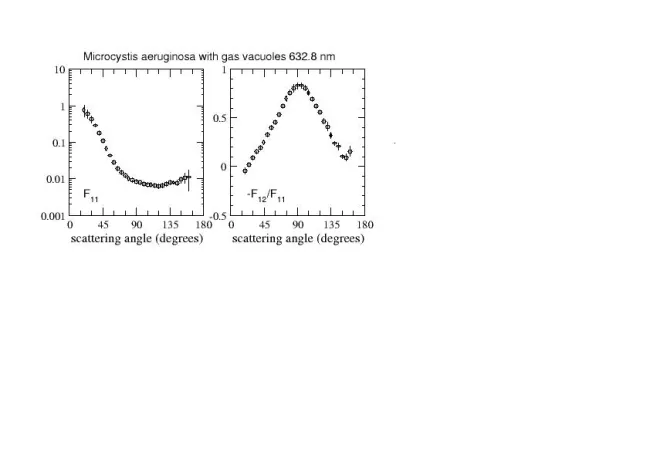 Scattering matrix elements Microcystis Aeruginosa, With Vacuoles Scattering matrix elements Microcystis Aeruginosa, With Vacuoles