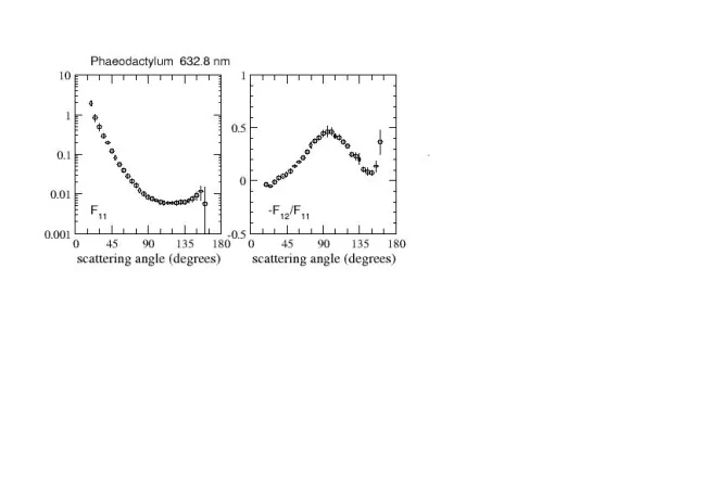 Scattering matrix elements Phaeodactylum Scattering matrix elements Phaeodactylum