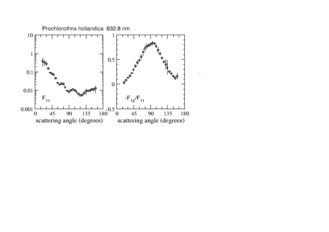 Scattering matrix elements Prochlorothrix Hollandica Scattering matrix elements Prochlorothrix Hollandica