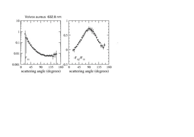 Scattering matrix elements Volvox Aureus Scattering matrix elements Volvox Aureus