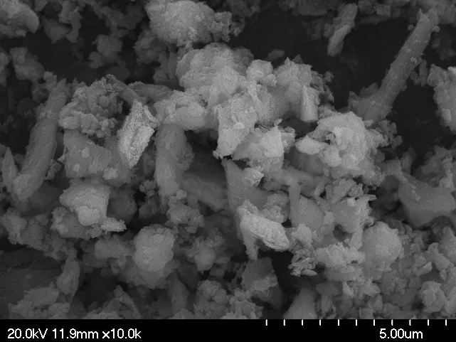 Forsterite XS FESEM image Forsterite XS FESEM image