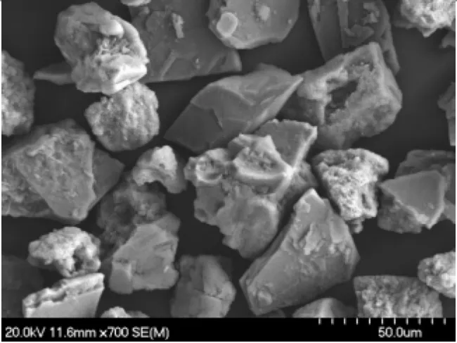 JSC Mars-1 L SEM Images
