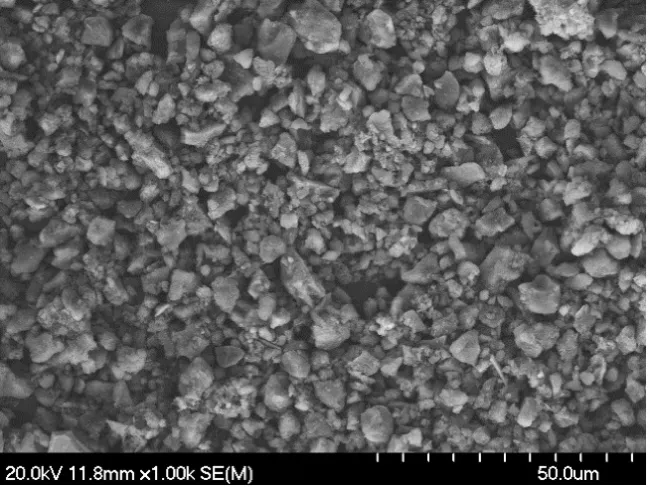 MMS-2 M SEM Images