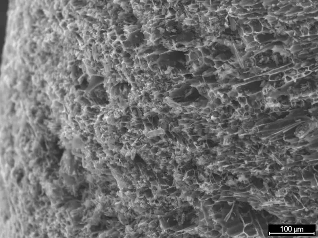 Charcoal SEM image