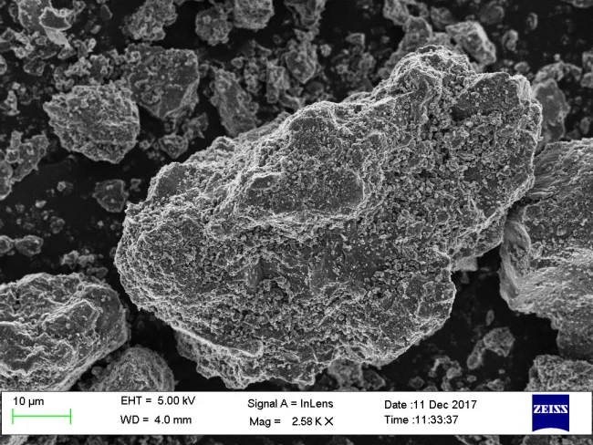 DaG521M SEM Image