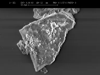 Forsterite Initial SEM Image