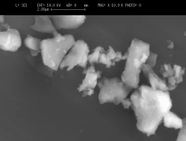 Forsterite Small SEM Image 