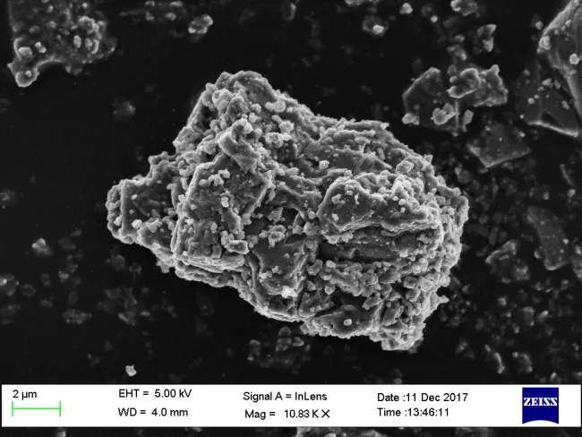 FRO99040S SEM Image FRO99040S SEM Image