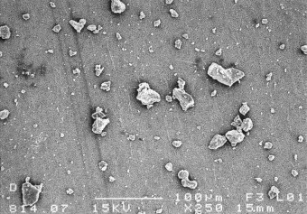 Lokon SEM Image 1