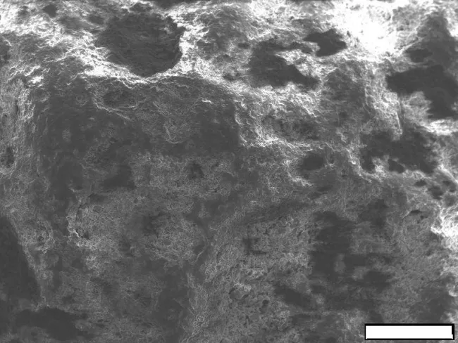 MgFeAlSi SEM Image