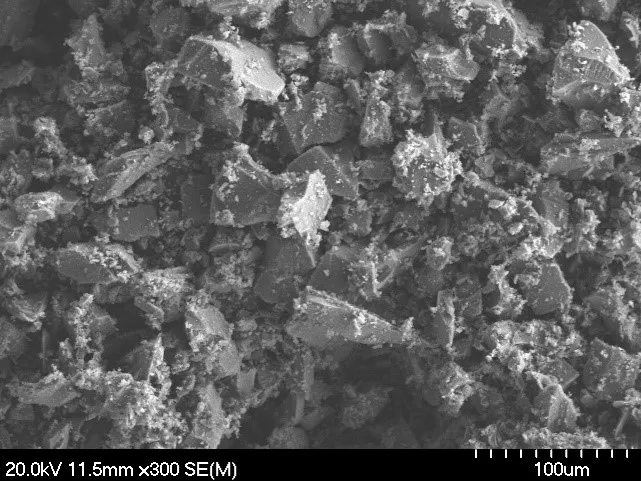 Olivine Medium SEM Image