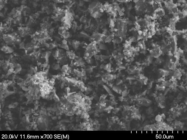 Olivine Small SEM Image