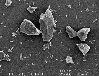 Olivine L SEM Image