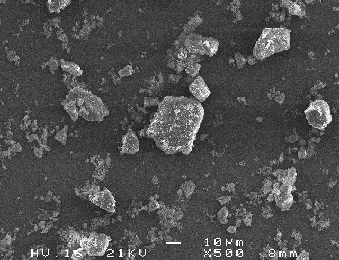 Olivine M SEM Image