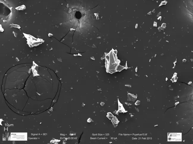 Puyehue SEM Image 1