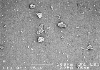 Quartz SEM Image 2