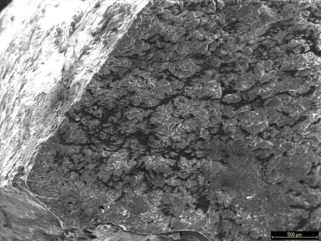 Quartz (mm) SEM Image 1