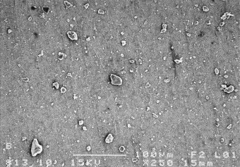 Red Clay SEM Image 2