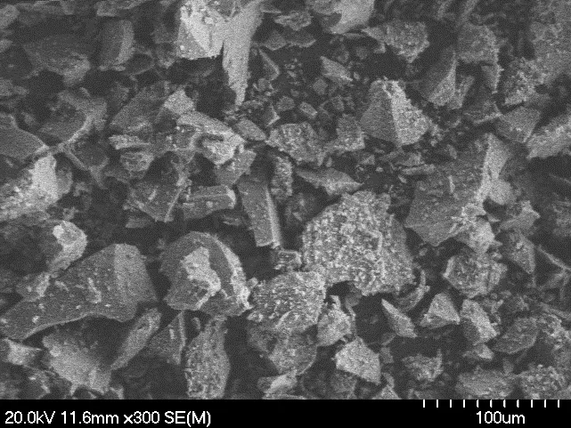 Spinel Medium SEM Image