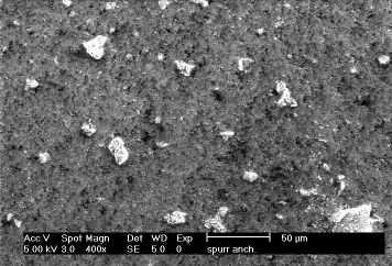 Spurr (Anchorage) SEM Image 2