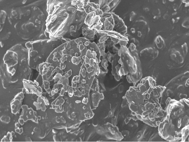 White Clay SEM Image 1