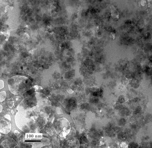 Aggregate (fluffy) Sample 1 TEM Image Aggregate (fluffy) Sample 1 TEM Image