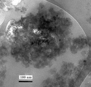 Aggregate Sample 2 TEM Image 1 Aggregate Sample 2 TEM Image 1