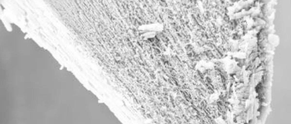 Cometary